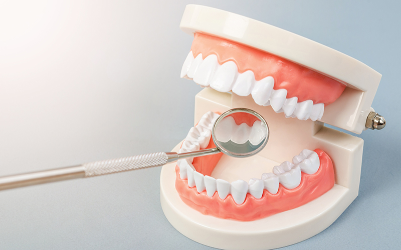 千葉市中央区の歯医者、千葉スマイル歯科&矯正歯科の千葉市歯科健診